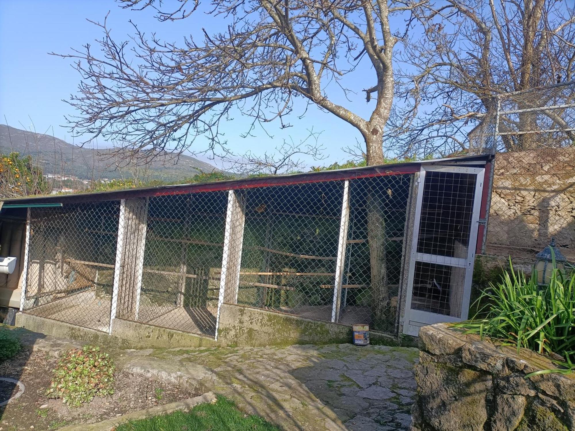 Villa Casa De Santa Luzia B Caminha Exterior foto