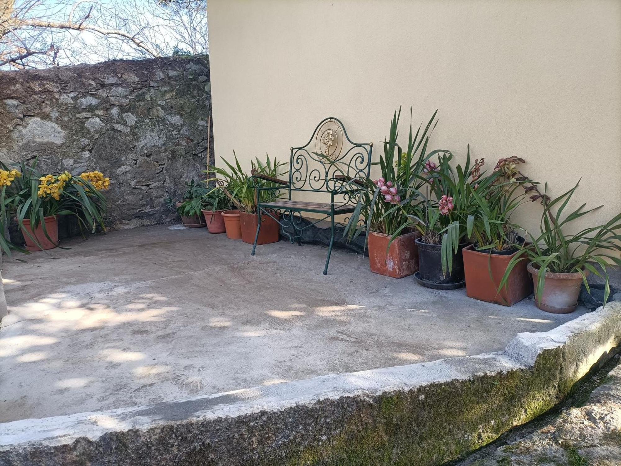 Villa Casa De Santa Luzia B Caminha Exterior foto